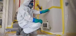 mold eradication