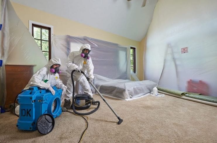 A Guide to Removing Mold from Your Walls